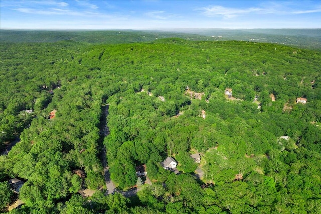 1237 Brentwood Dr, East Stroudsburg, PA 18301 - aerial view of property's location with a forest