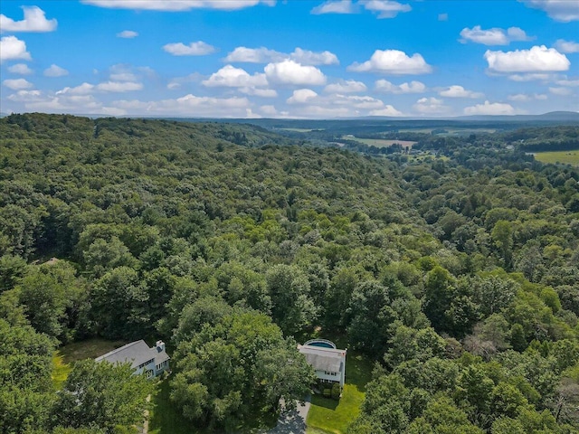 236 Ridge Ct, Saylorsburg, PA 18353 - photo 43