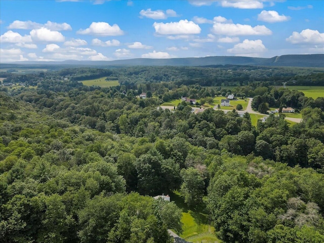 236 Ridge Ct, Saylorsburg, PA 18353 - photo 44
