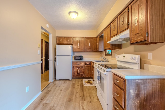 205 W Williams Ct, Stroudsburg, PA 18360 - kitchen featuring white appliances, under cabinet range hood, brown cabinets, light wood-style floors, and a textured ceiling
