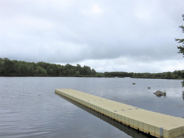 52 S Lehigh River Dr # K1447, Gouldsboro, PA 18424 - photo 15