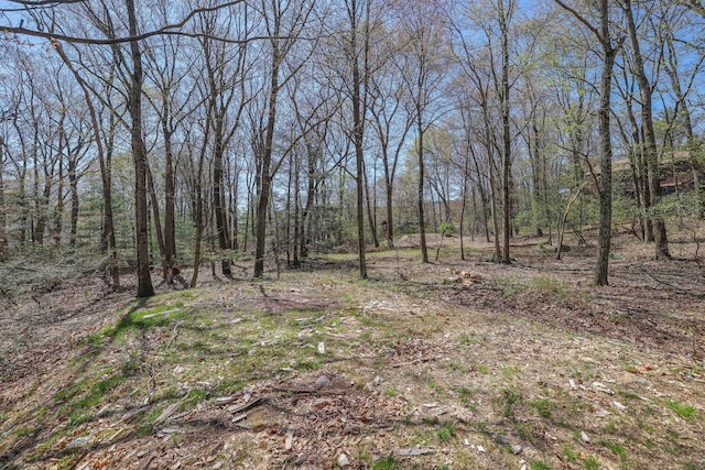 view of local wilderness featuring a forest view