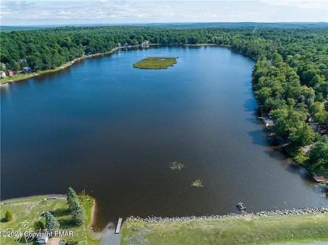 bird's eye view with a water view and a forest view