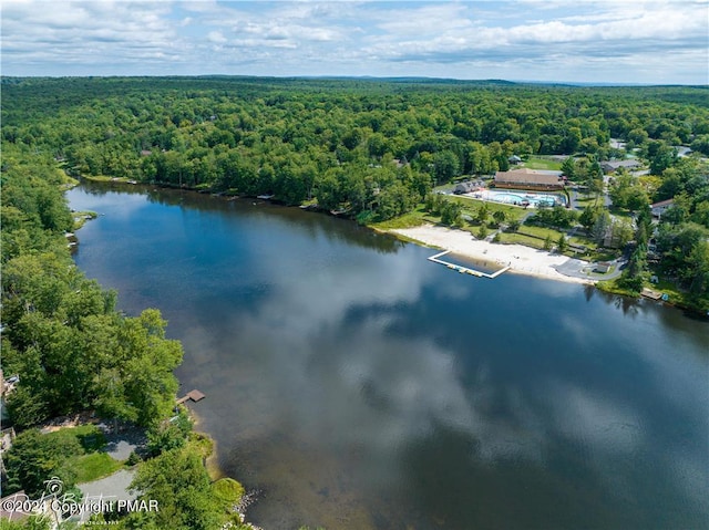 bird's eye view with a water view and a forest view