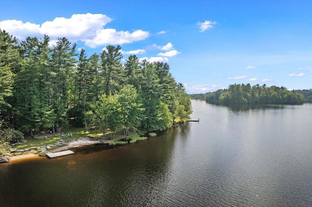 105 Waygood Way, Pocono Pines, PA 18350 - water view with a forest