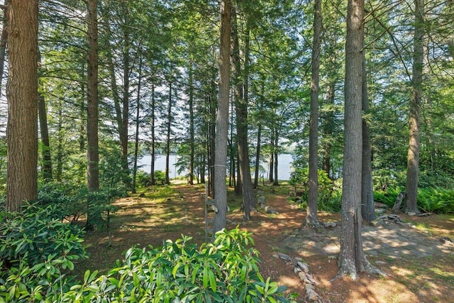 105 Waygood Way, Pocono Pines, PA 18350 - view of local wilderness with a nearby body of water