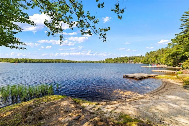 105 Waygood Way, Pocono Pines, PA 18350 - dock featuring a water view and a forest view