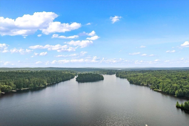 105 Waygood Way, Pocono Pines, PA 18350 - water view featuring a forest