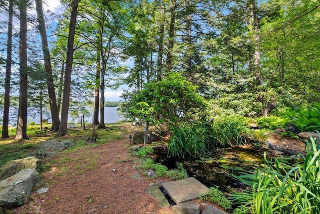 105 Waygood Way, Pocono Pines, PA 18350 - view of yard featuring a water view