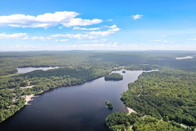 105 Waygood Way, Pocono Pines, PA 18350 - bird's eye view of a nearby body of water