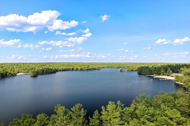 105 Waygood Way, Pocono Pines, PA 18350 - water view featuring a heavily wooded area
