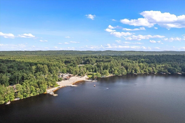 105 Waygood Way, Pocono Pines, PA 18350 - aerial view of a forest and a nearby body of water