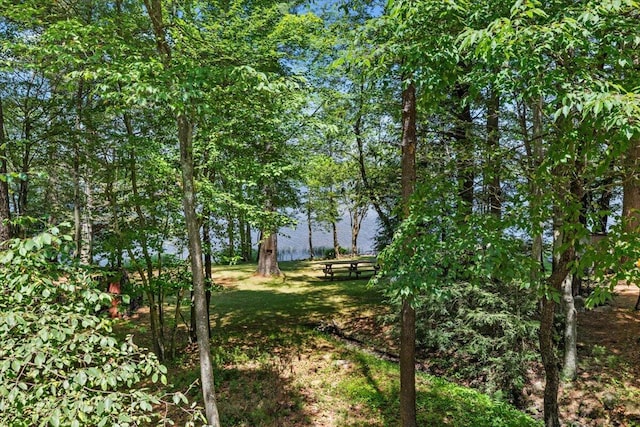 105 Waygood Way, Pocono Pines, PA 18350 - view of yard