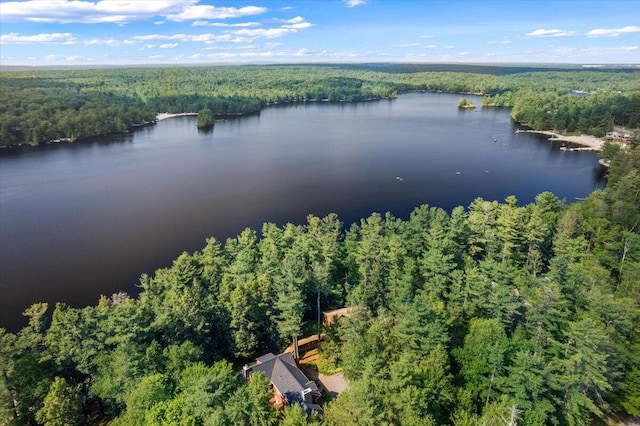 105 Waygood Way, Pocono Pines, PA 18350 - drone / aerial view of a forest and a nearby body of water