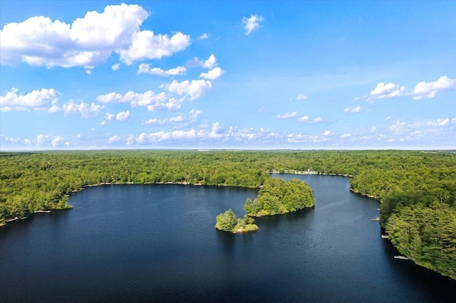 105 Waygood Way, Pocono Pines, PA 18350 - bird's eye view of a forest and a nearby body of water