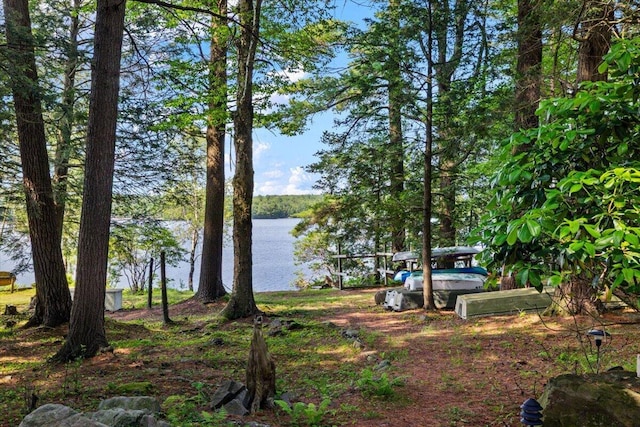 105 Waygood Way, Pocono Pines, PA 18350 - view of yard featuring a water view