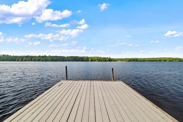 105 Waygood Way, Pocono Pines, PA 18350 - dock with a water view