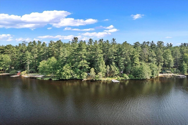 105 Waygood Way, Pocono Pines, PA 18350 - water view featuring a heavily wooded area