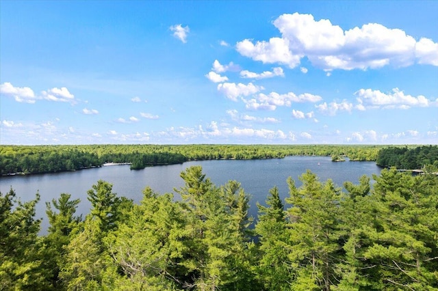 105 Waygood Way, Pocono Pines, PA 18350 - water view with a forest
