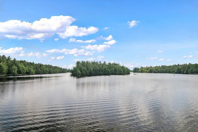 105 Waygood Way, Pocono Pines, PA 18350 - water view with a forest