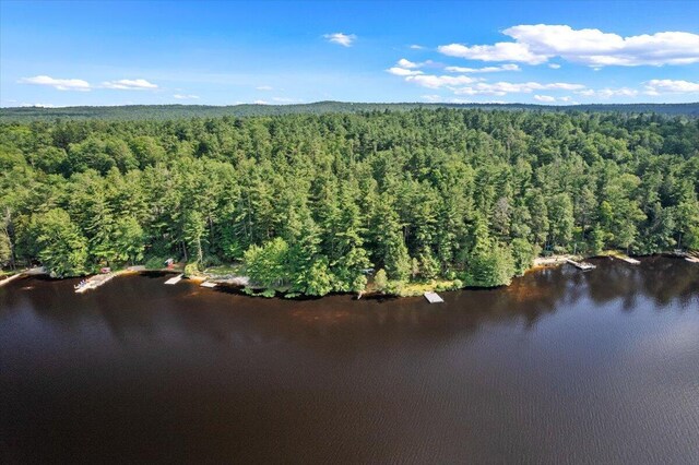 105 Waygood Way, Pocono Pines, PA 18350 - aerial overview of property's location featuring a forest and a nearby body of water