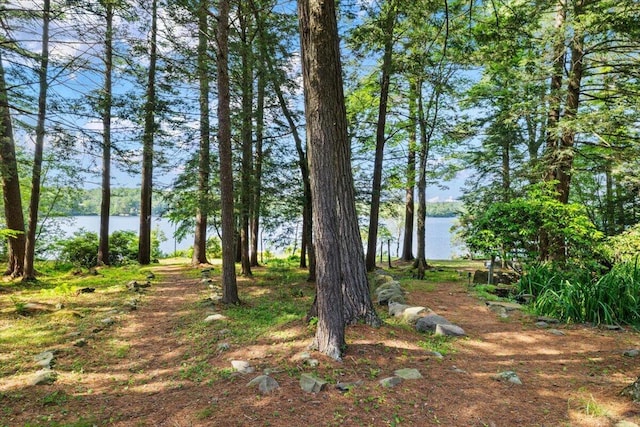 105 Waygood Way, Pocono Pines, PA 18350 - view of yard with a water view