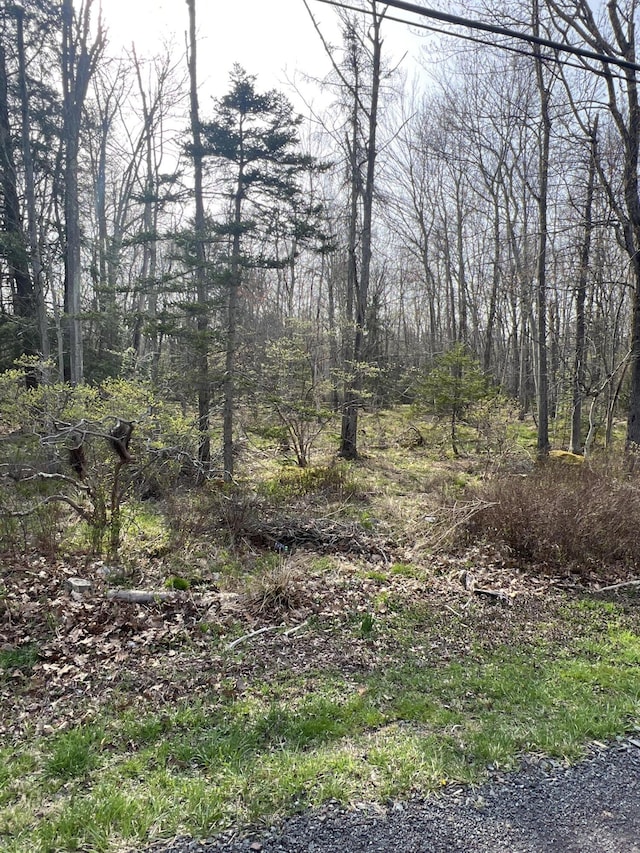 LOT309-31 Wagner Way, Pocono Lake, PA 18347