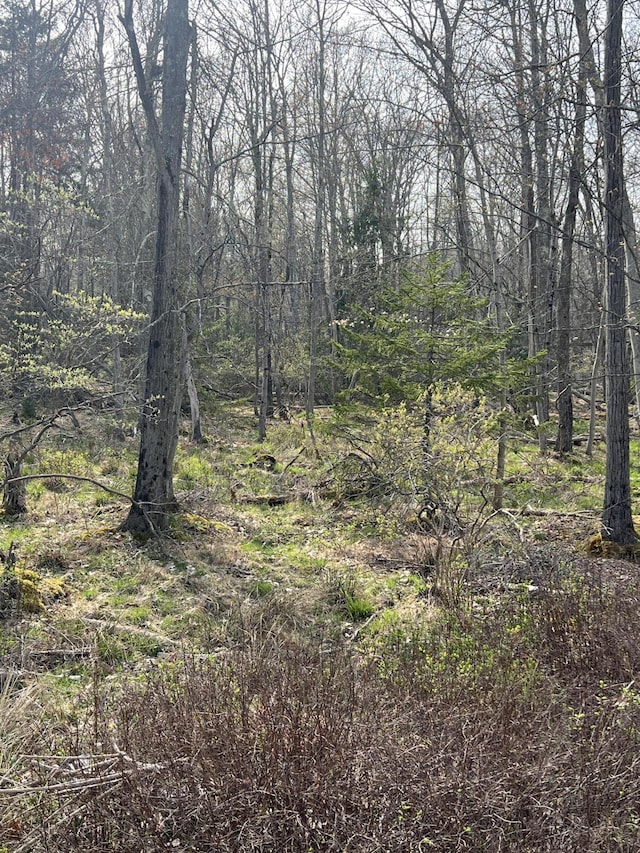 LOT309-31 Wagner Way, Pocono Lake, PA 18347