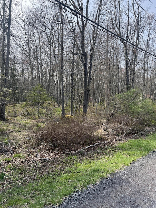 LOT309-31 Wagner Way, Pocono Lake, PA 18347