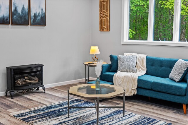 181 Williams Ln, Scotrun, PA 18355 - living room featuring wood finished floors and a wood stove