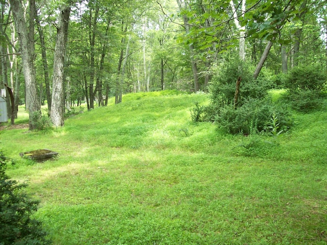 139 Davis Cir, Bushkill, PA 18324 - view of yard with a wooded view