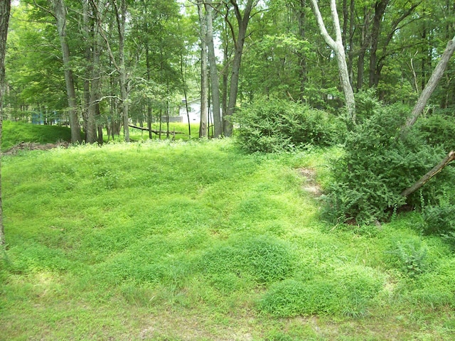 139 Davis Cir, Bushkill, PA 18324 - view of wooded area