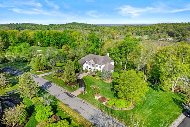 145 Rising Meadow Way E, Stroudsburg, PA 18302 - birds eye view of property