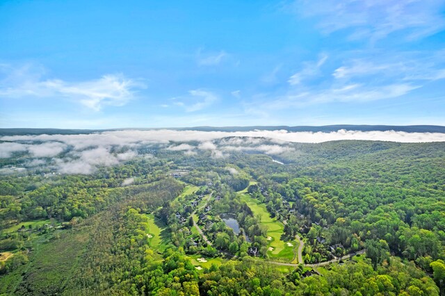 145 Rising Meadow Way E, Stroudsburg, PA 18302 - view of snowy aerial view