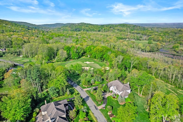 145 Rising Meadow Way E, Stroudsburg, PA 18302 - bird's eye view featuring a wooded view