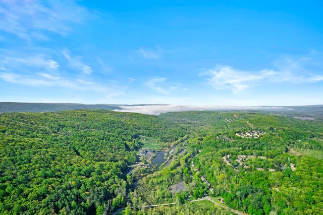 145 Rising Meadow Way E, Stroudsburg, PA 18302 - bird's eye view