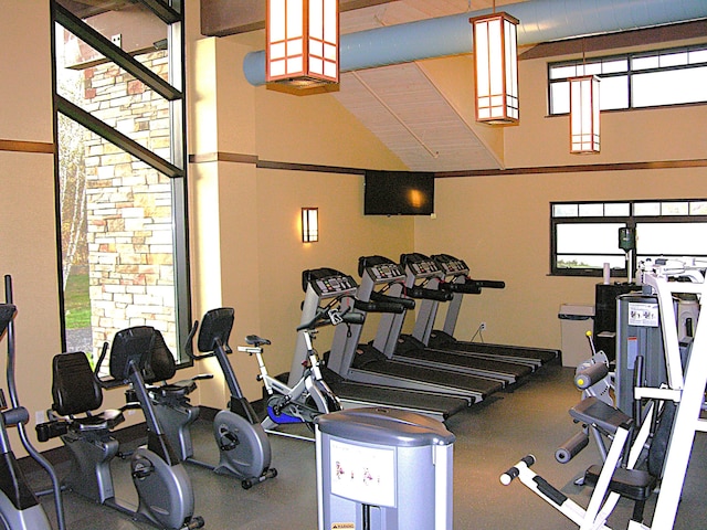 248 N Arrow Dr, Pocono Lake, PA 18347 - exercise room featuring a high ceiling