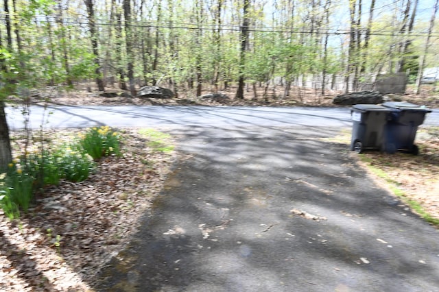 3233 Pocono Dr, East Stroudsburg, PA 18302 - photo 38