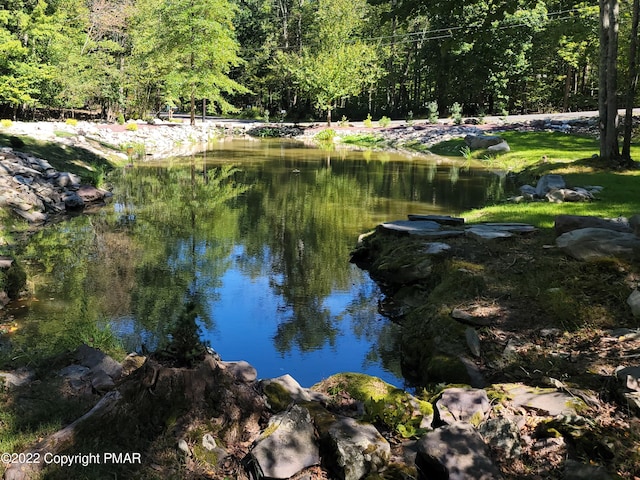 view of water feature featuring a wooded view