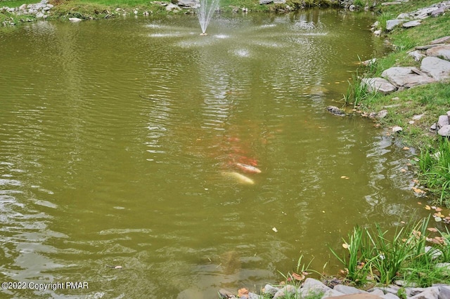 property view of water