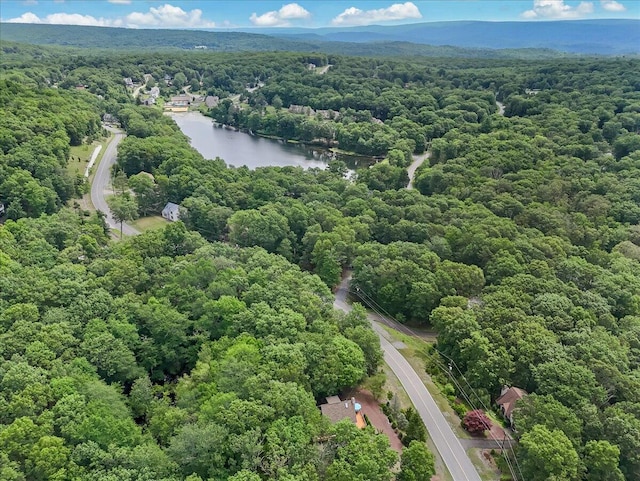2218 Lancaster Dr, Lehman, PA 18324 - drone / aerial view of a heavily wooded area and a large body of water