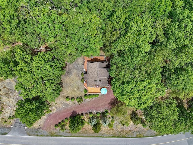 2218 Lancaster Dr, Lehman, PA 18324 - aerial view of property and surrounding area