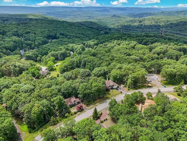 2218 Lancaster Dr, Lehman, PA 18324 - bird's eye view of a heavily wooded area