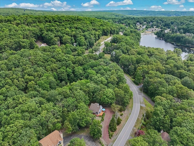 2218 Lancaster Dr, Lehman, PA 18324 - aerial view of a heavily wooded area and a nearby body of water