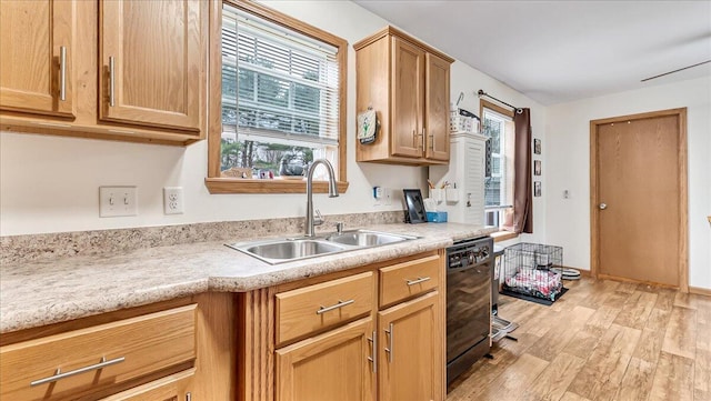 3954 Cedar Dr, Walnutport, PA 18088 - kitchen with black dishwasher, light wood-type flooring, and light countertops