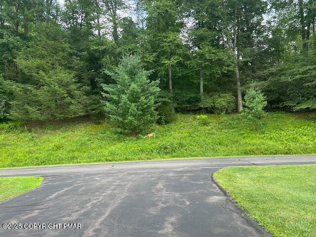 109 Duck Hollow Cir, Stroudsburg, PA 18360 - view of asphalt road