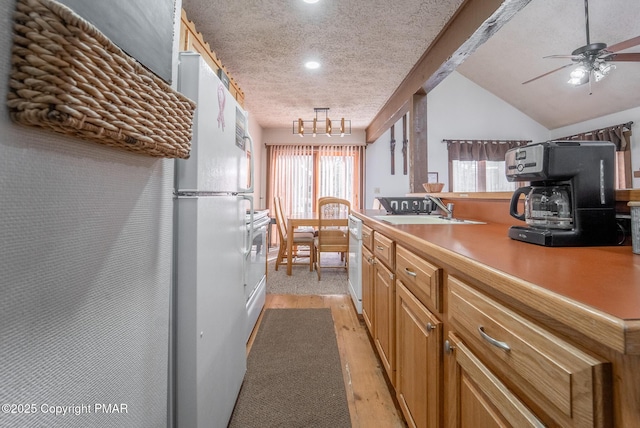 kitchen featuring light countertops, light wood-style floors, a sink, a textured ceiling, and white appliances