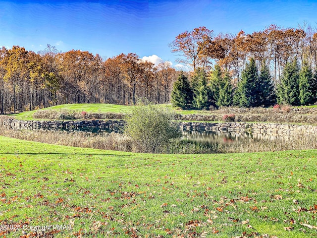 view of yard with a water view and a wooded view