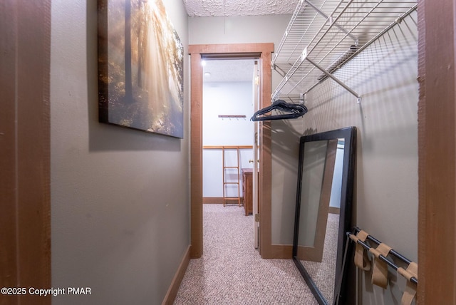 corridor featuring carpet flooring and baseboards