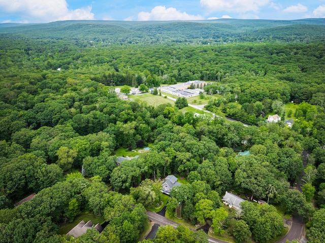 4130 Mill Creek Dr, Cresco, PA 18326 - aerial view of a forest